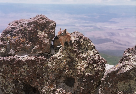 Colorado Western Slope